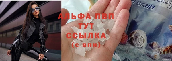 спайс Мегион