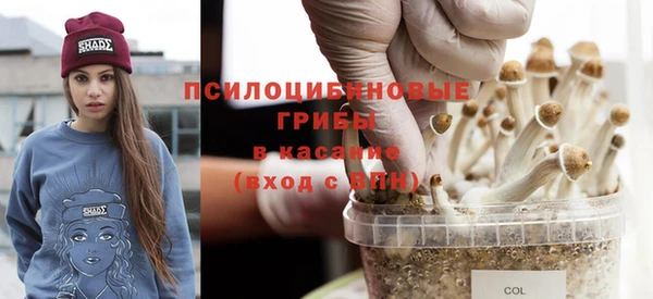 спайс Мегион